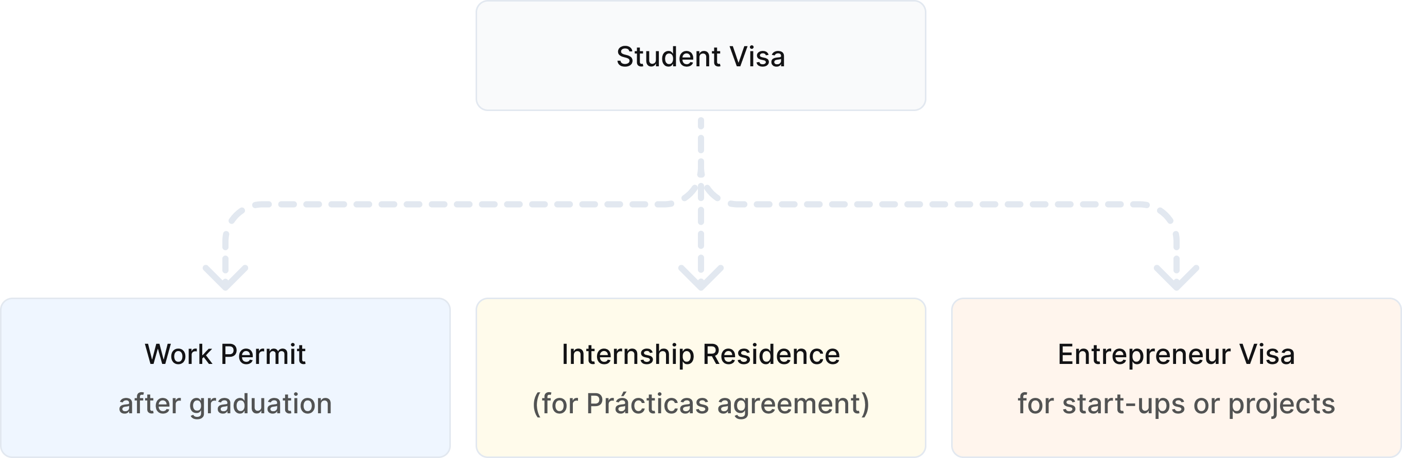 Plan after Student Visa