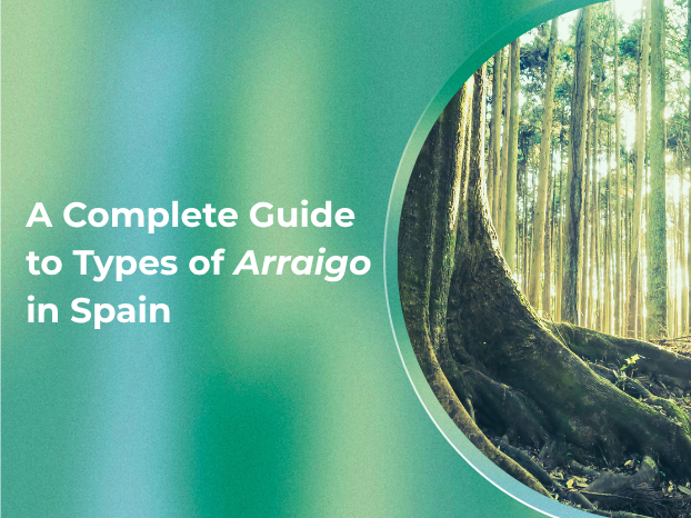 Types of Arraigo in Spain: A Complete Guide